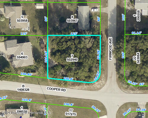 Details for 13907 Cooper Road, Spring Hill, FL 34609