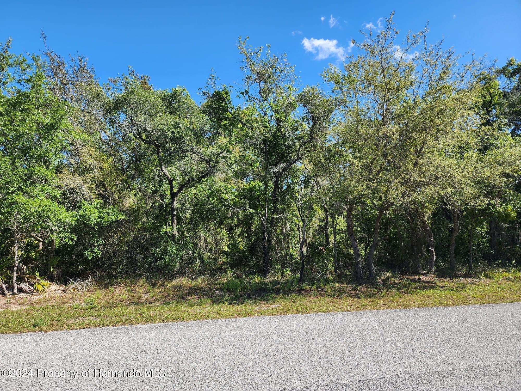 Details for 10389 Marvista Court, WEEKI WACHEE, FL 34614