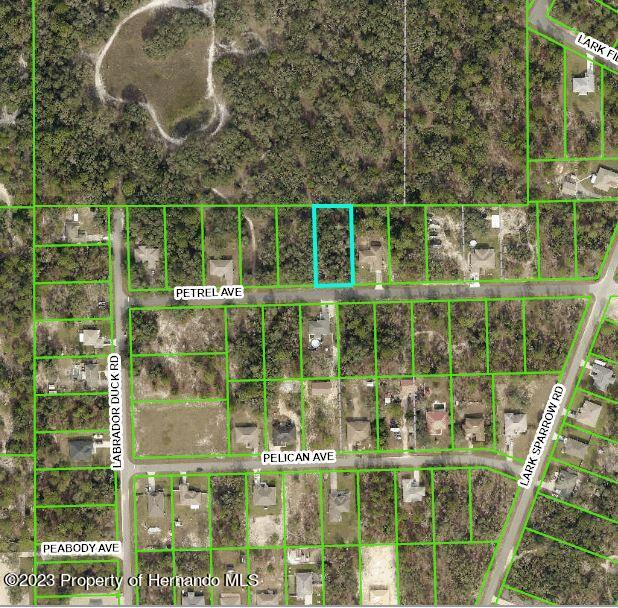 Listing Details for 11455 Petrel Ave Lot 6, WEEKI WACHEE, FL 34614