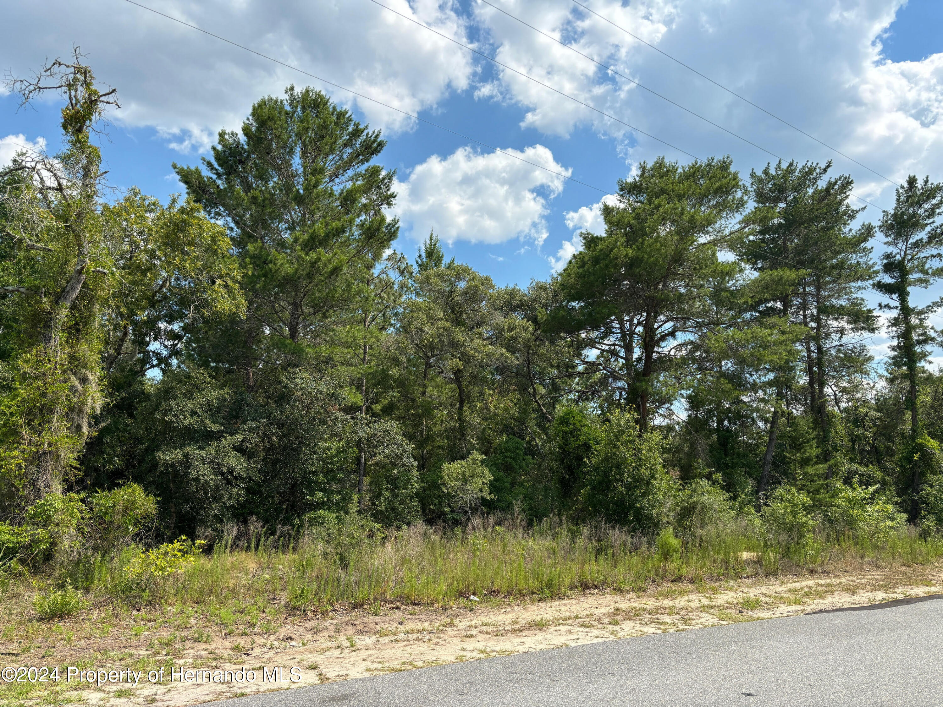 Details for Lot 11 Antelope Street, Spring Hill, FL 34609