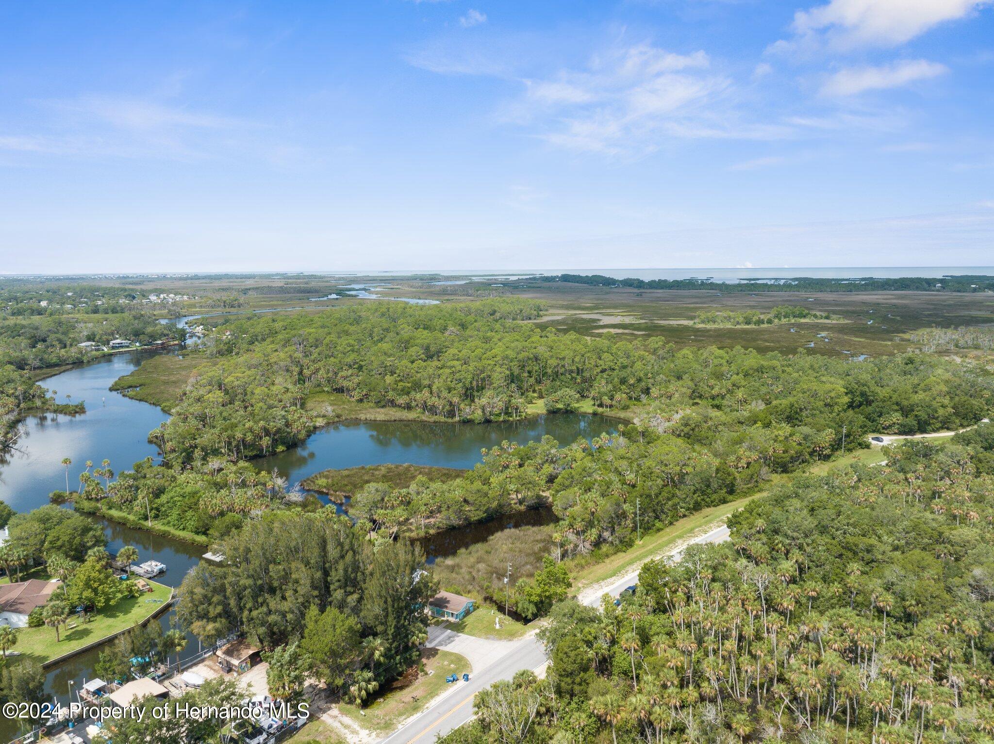 Details for 0 Marys Fish Camp Road, Spring Hill, FL 34607