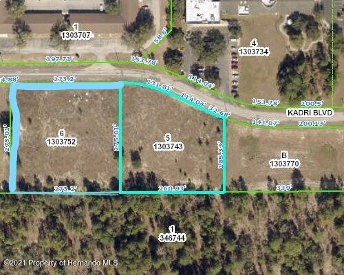 Details for 12160 Kadri Boulevard, Spring Hill, FL 34608