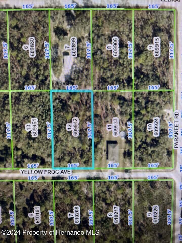 Listing Details for 0 Yellow Frog Avenue, BROOKSVILLE, FL 34614