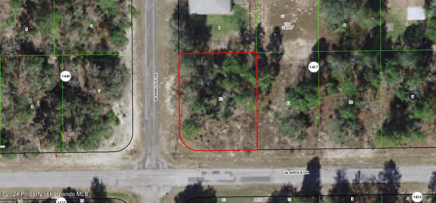 Listing Details for 2845 W Sheila Drive, Citrus Springs, FL 34433