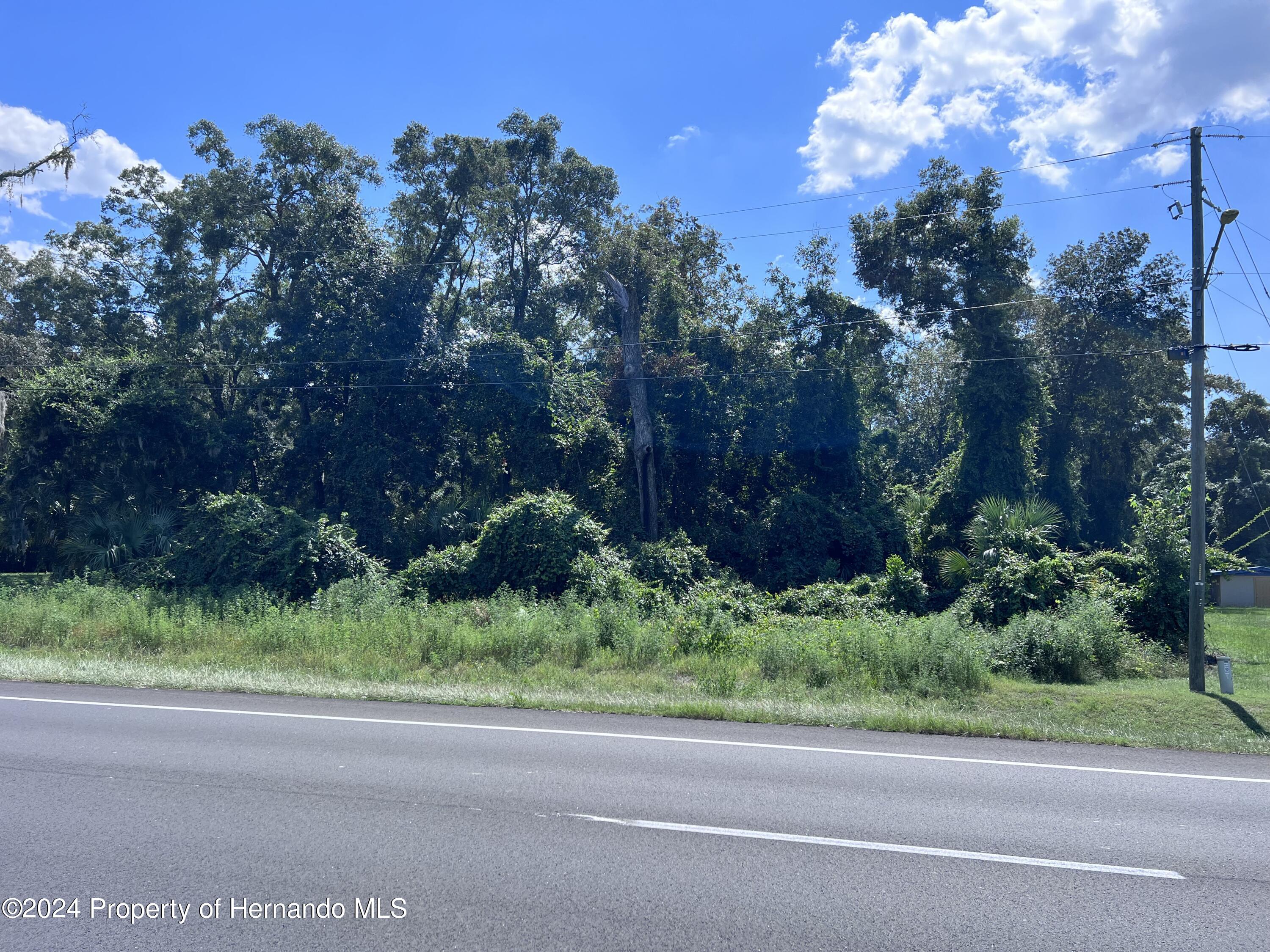 Details for 0 Us 19  , Fanning Springs, FL 32693