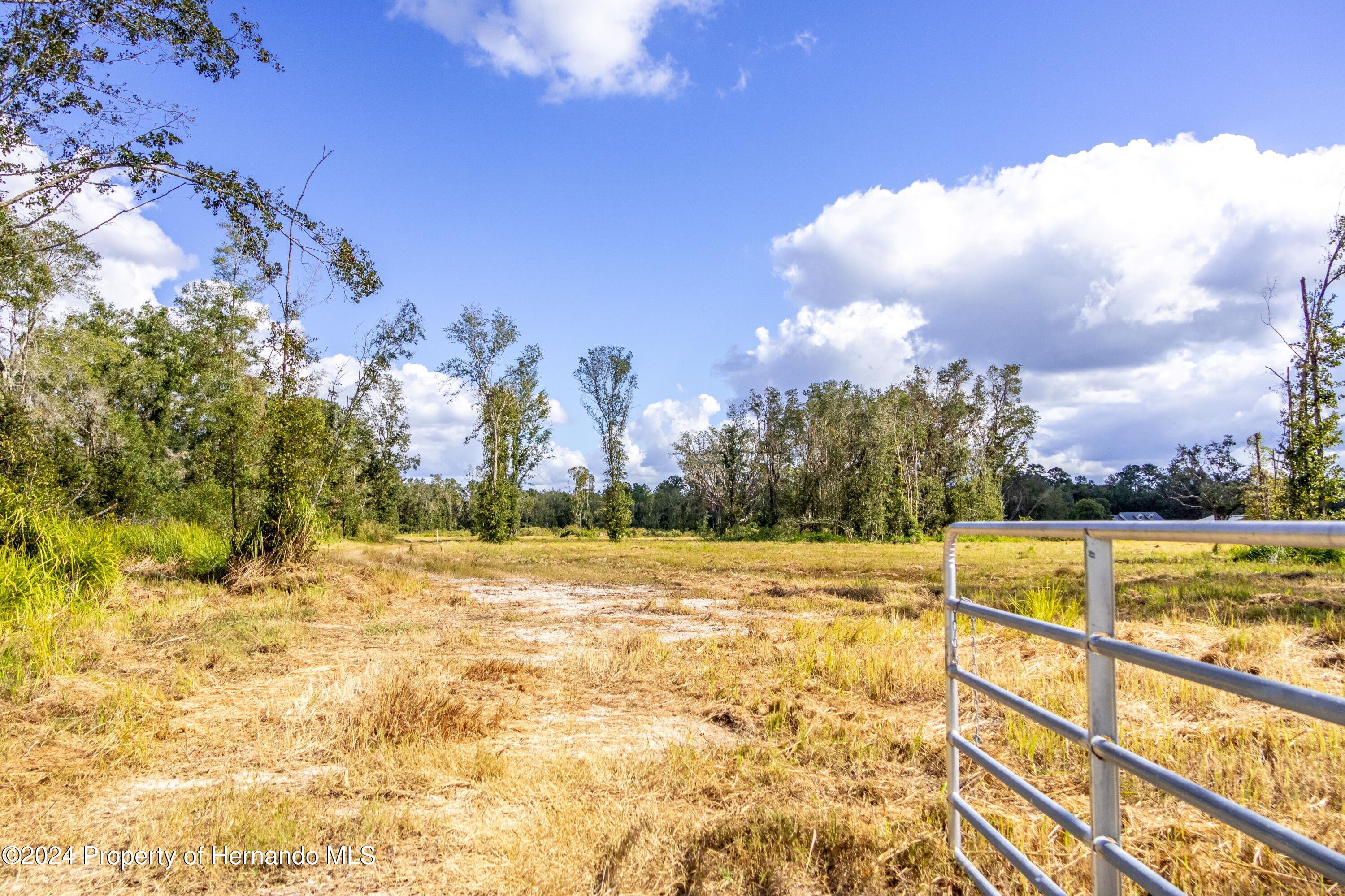 Details for 0 Saturn Lot 3 Road, BROOKSVILLE, FL 34604