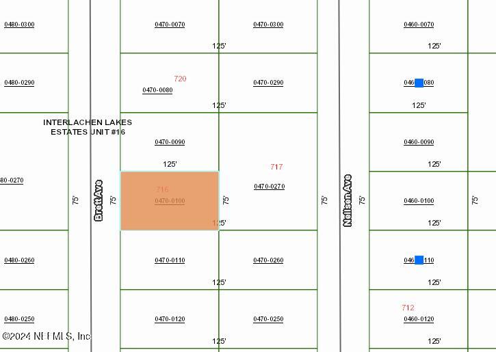 Listing Details for 716 Brett Avenue, Interlachen, FL 32148