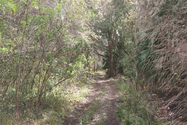 Image 3 of 5 For 0 Essex Road E