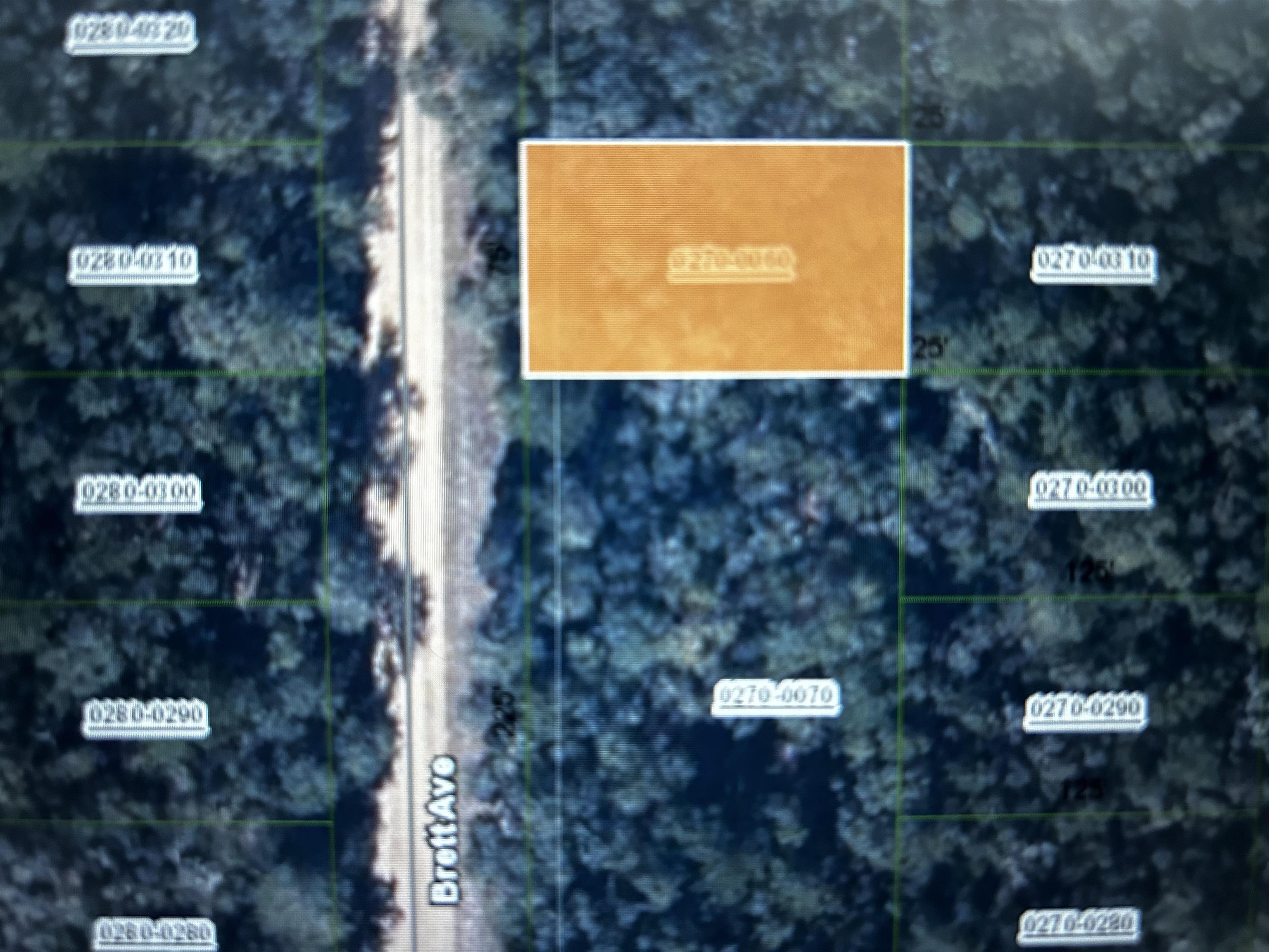 Listing Details for 000 Brett Ave, Interlachen, FL 32148