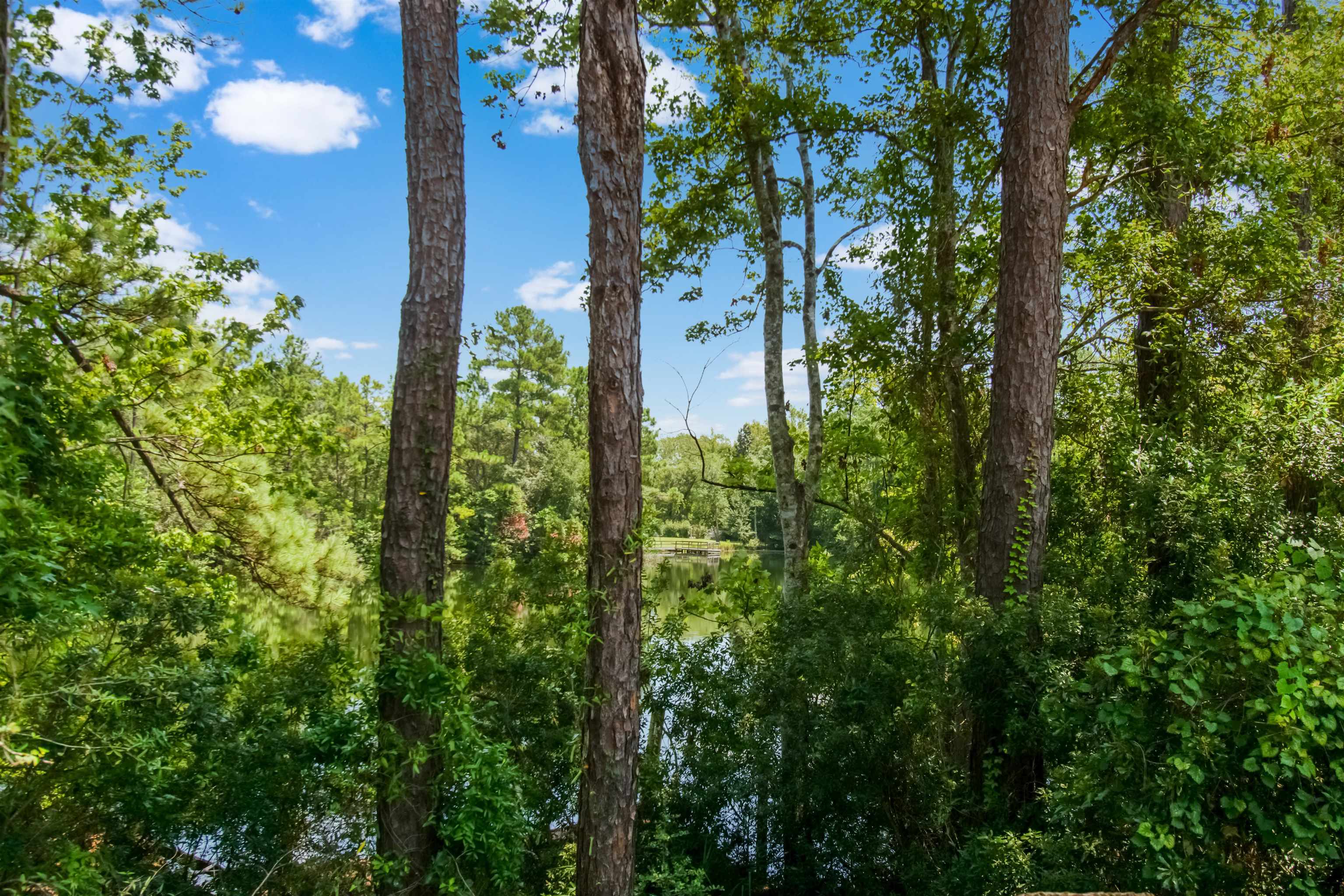 Image 13 of 20 For 463493 State Road 200