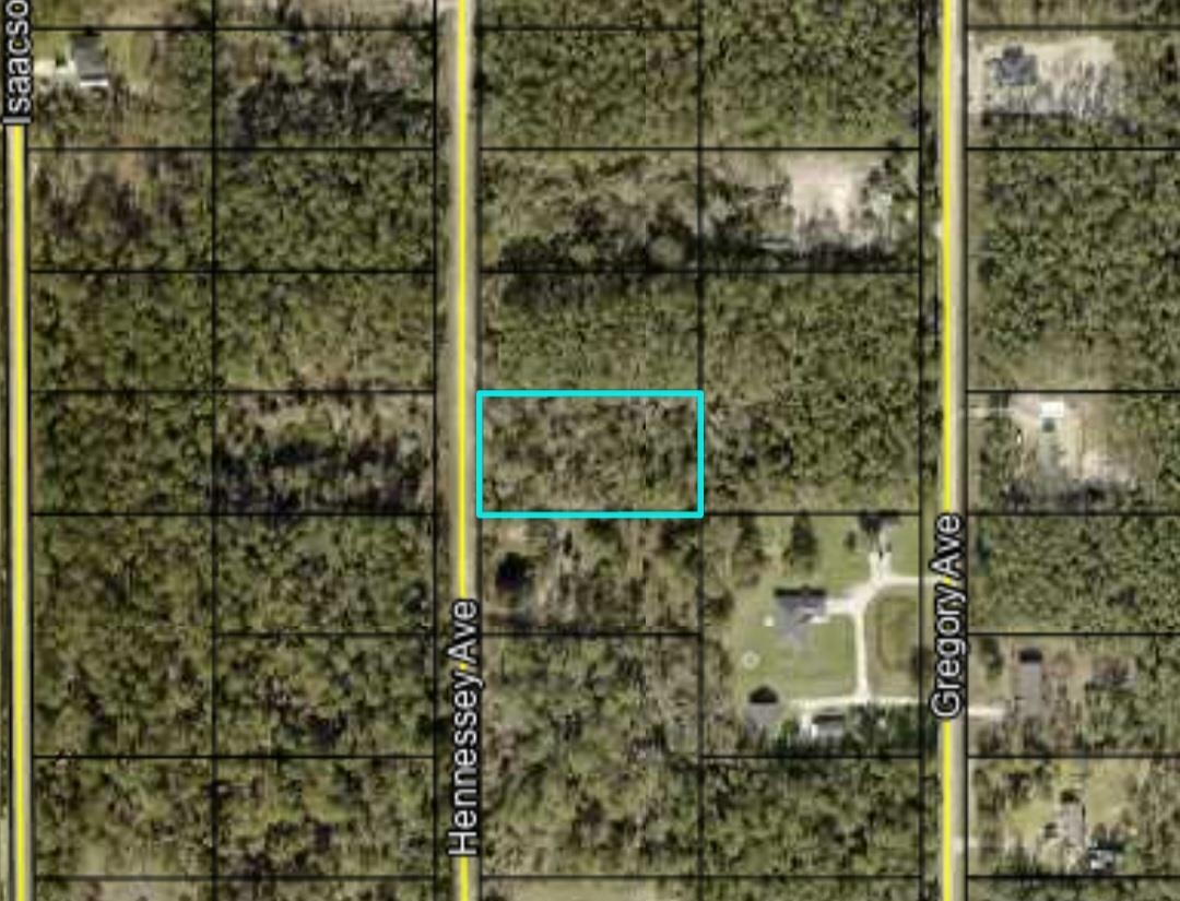 Details for 10260 Hennessey Ave, Hastings, FL 32145