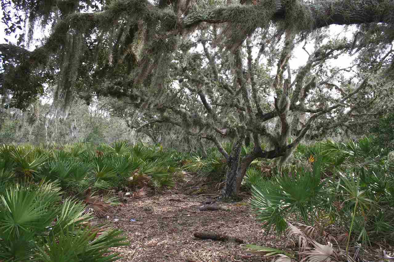 Image 15 of 27 For Intracoastal Island