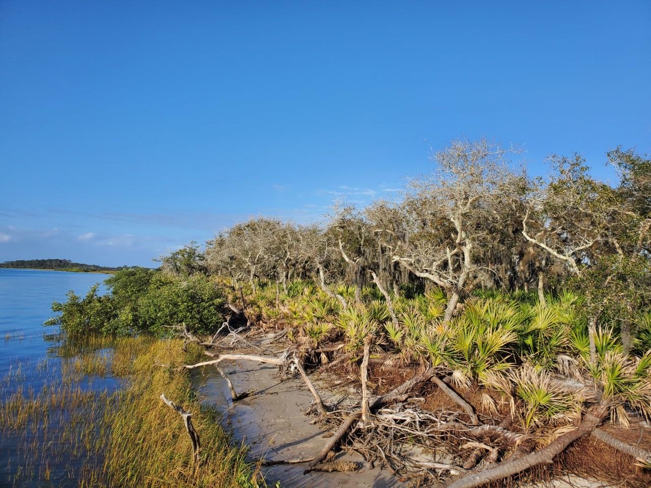 Image 16 of 27 For Intracoastal Island