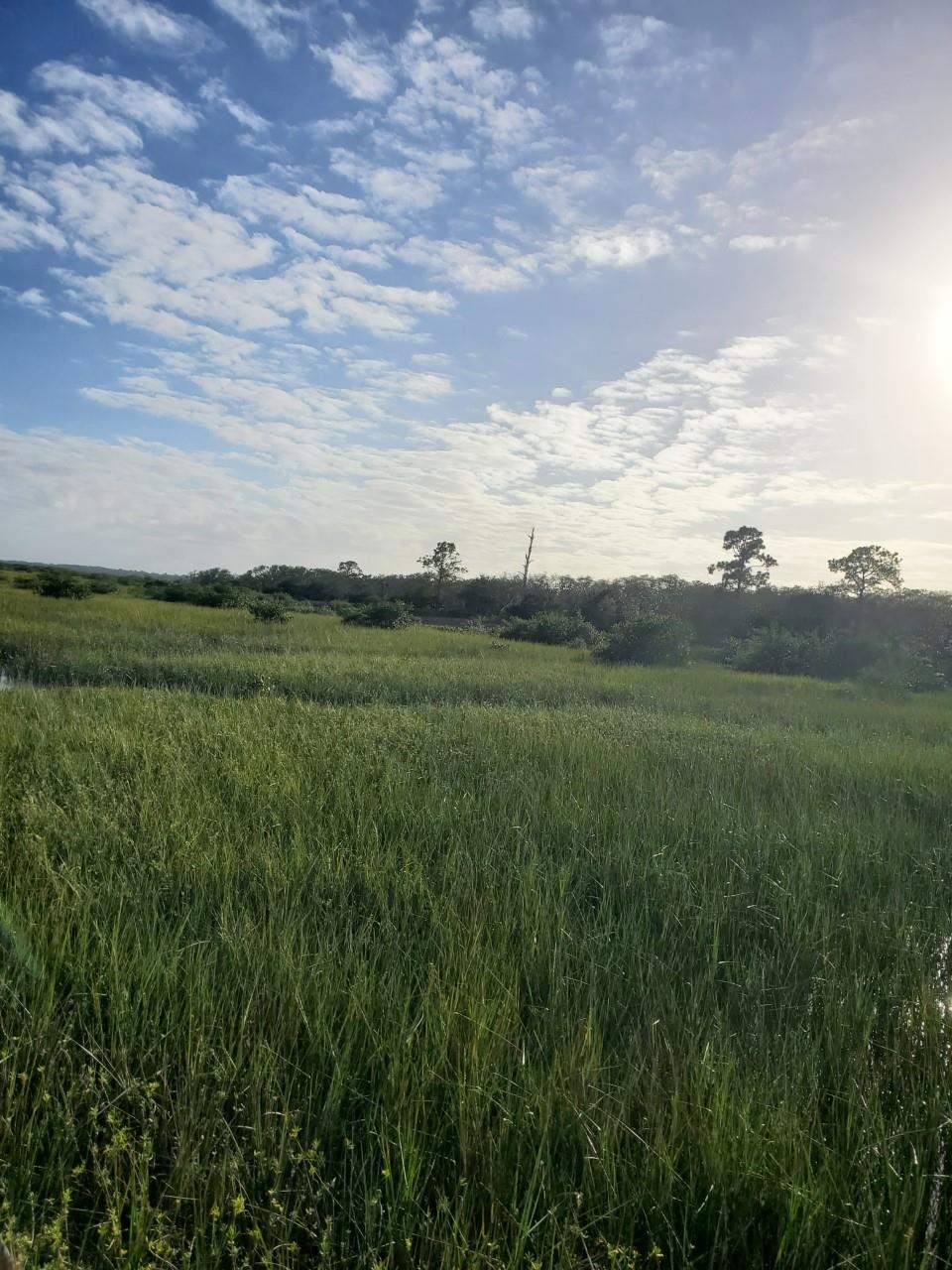 Image 26 of 27 For Intracoastal Island