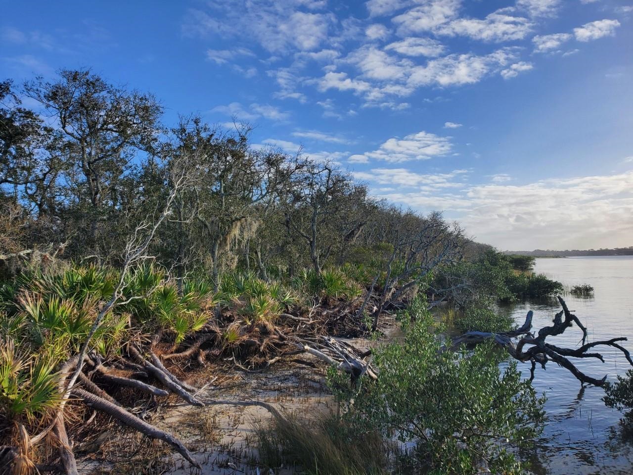 Image 4 of 27 For Intracoastal Island