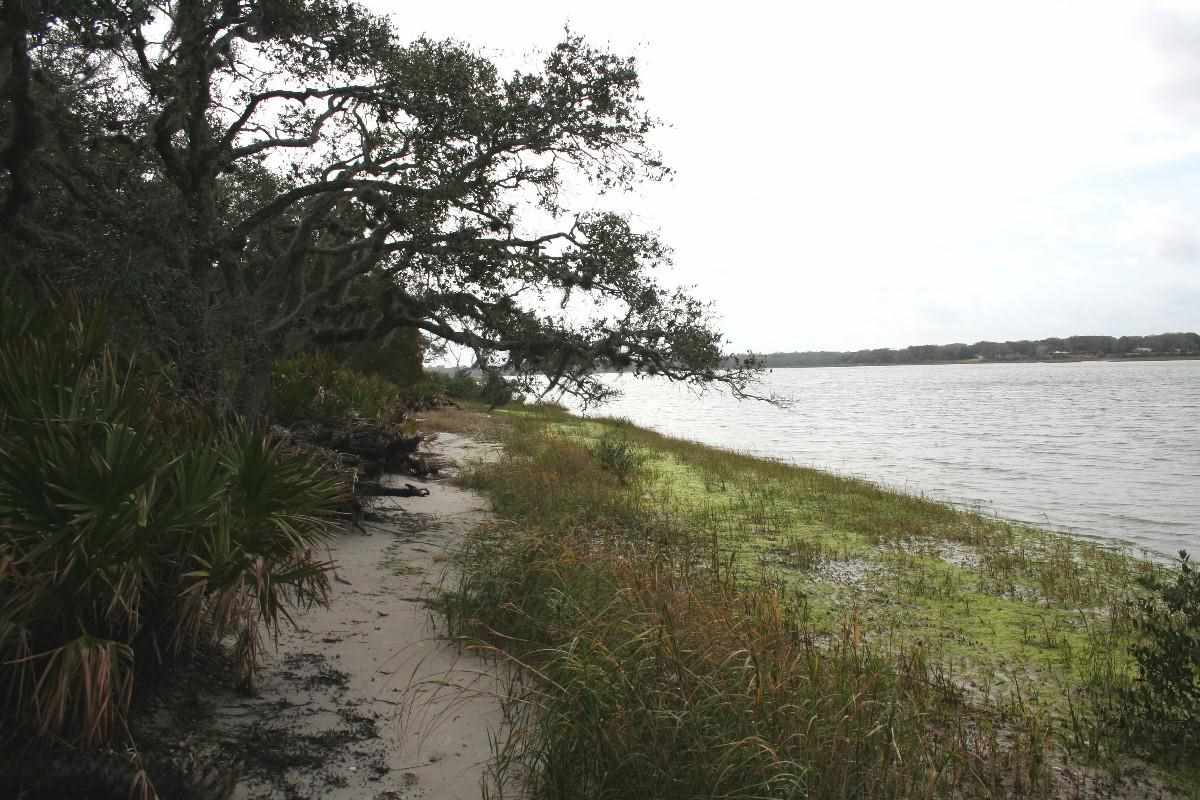 Image 5 of 27 For Intracoastal Island