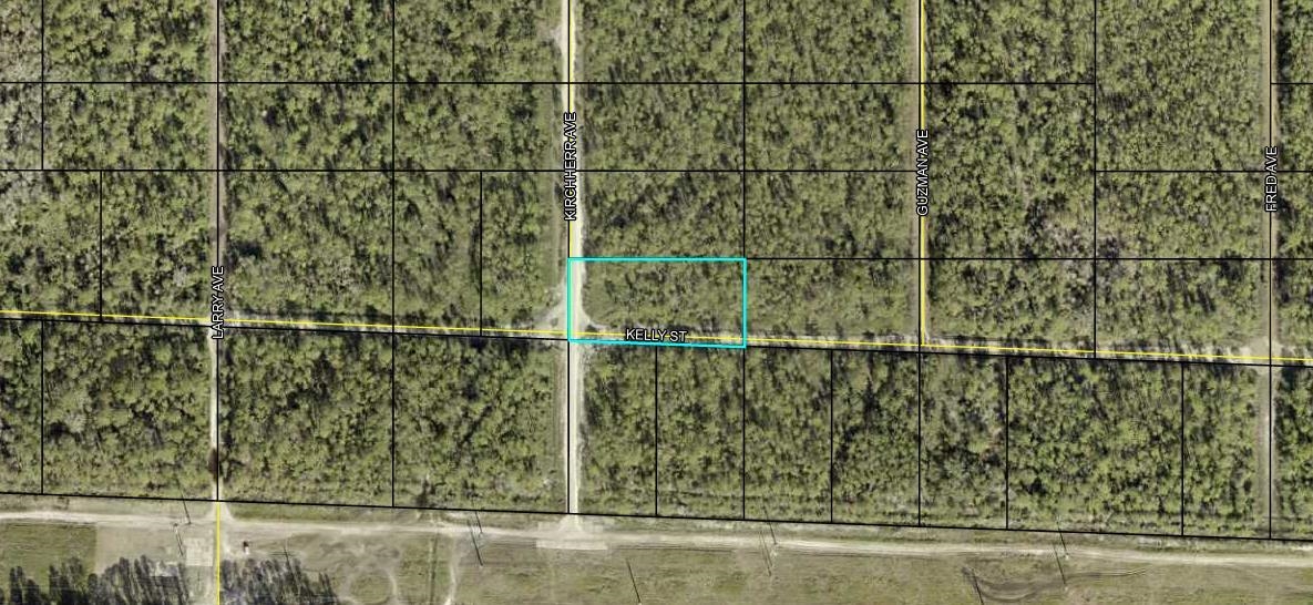 Listing Details for 0000 Kirchherr Ave, Hastings, FL 32145