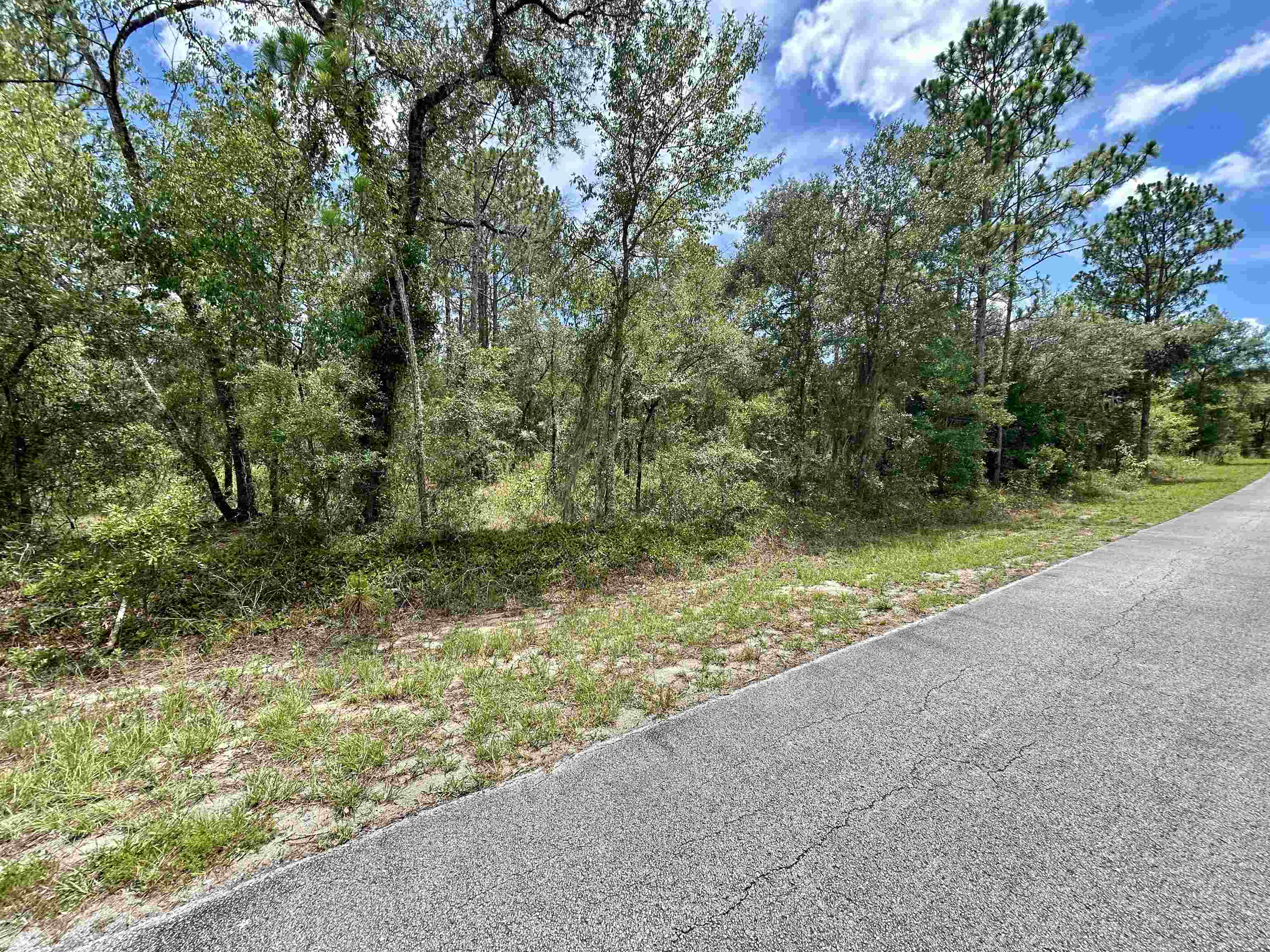 Details for Lot 17 Mallard Ave Nw, Dunnellon, FL 34431