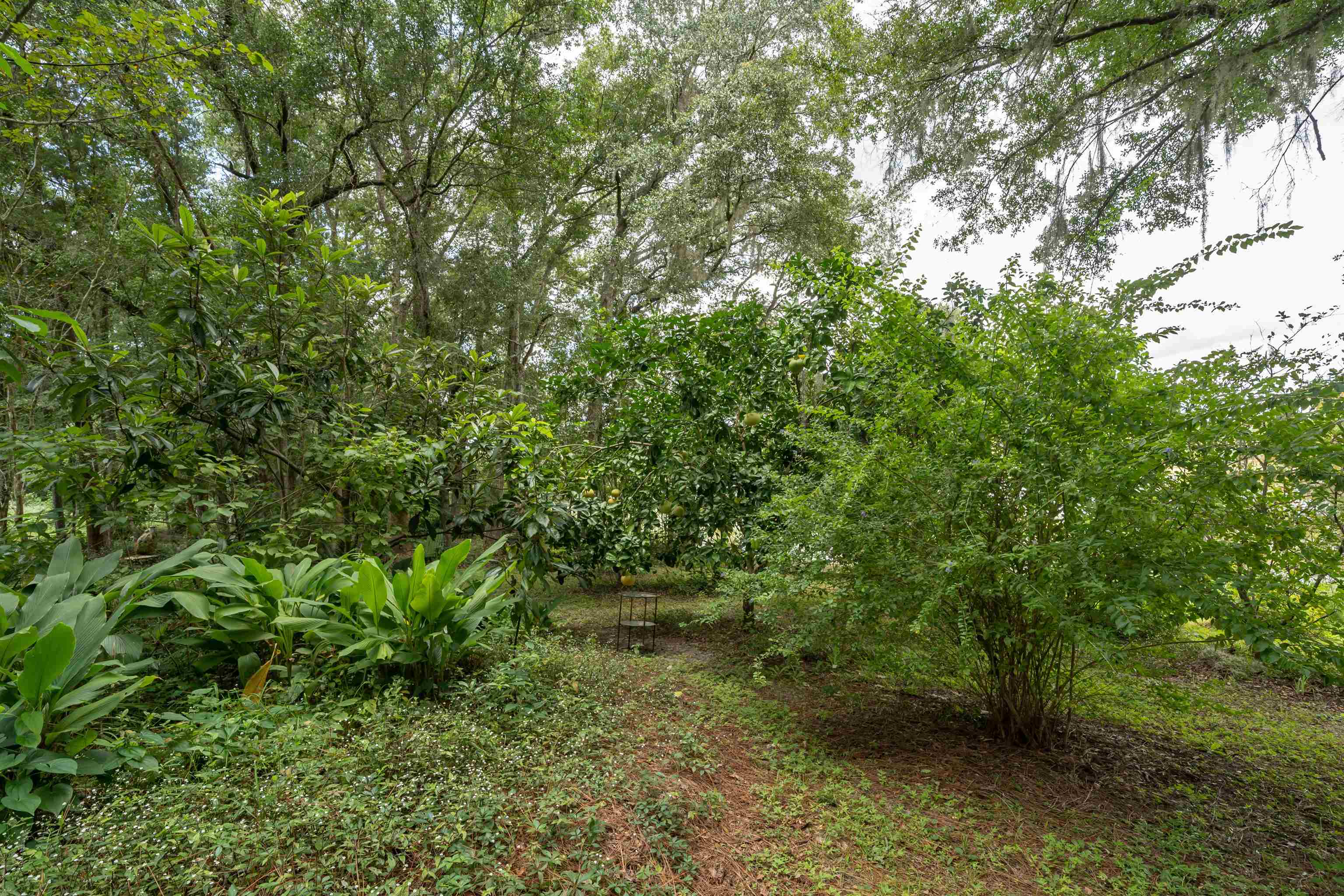 Image 64 of 100 For 250 West Lake Drive W