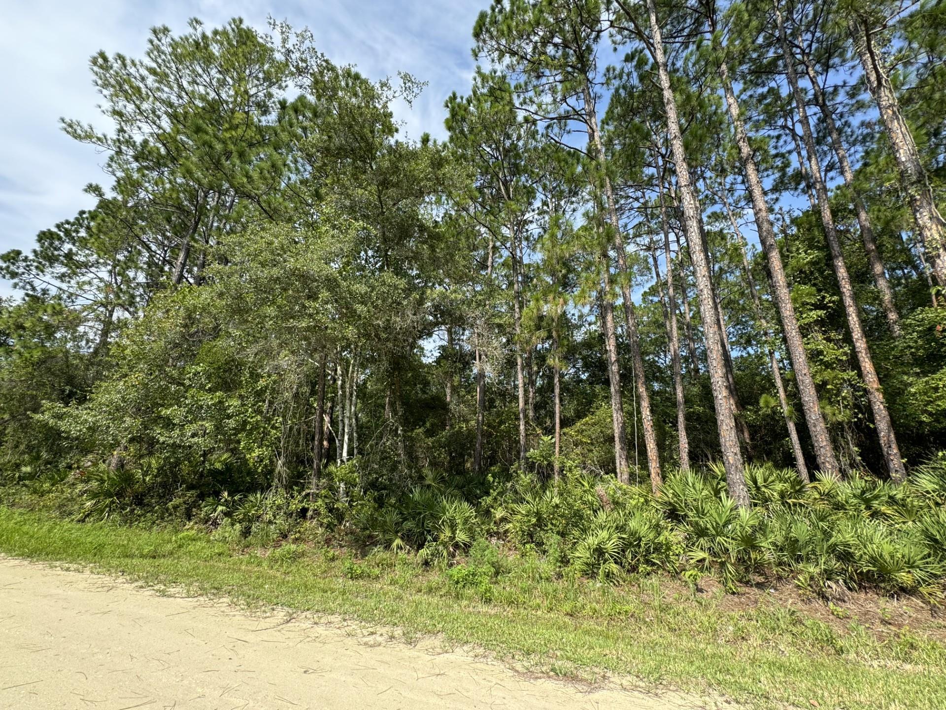 Image 3 of 3 For 111 Redfish Dr
