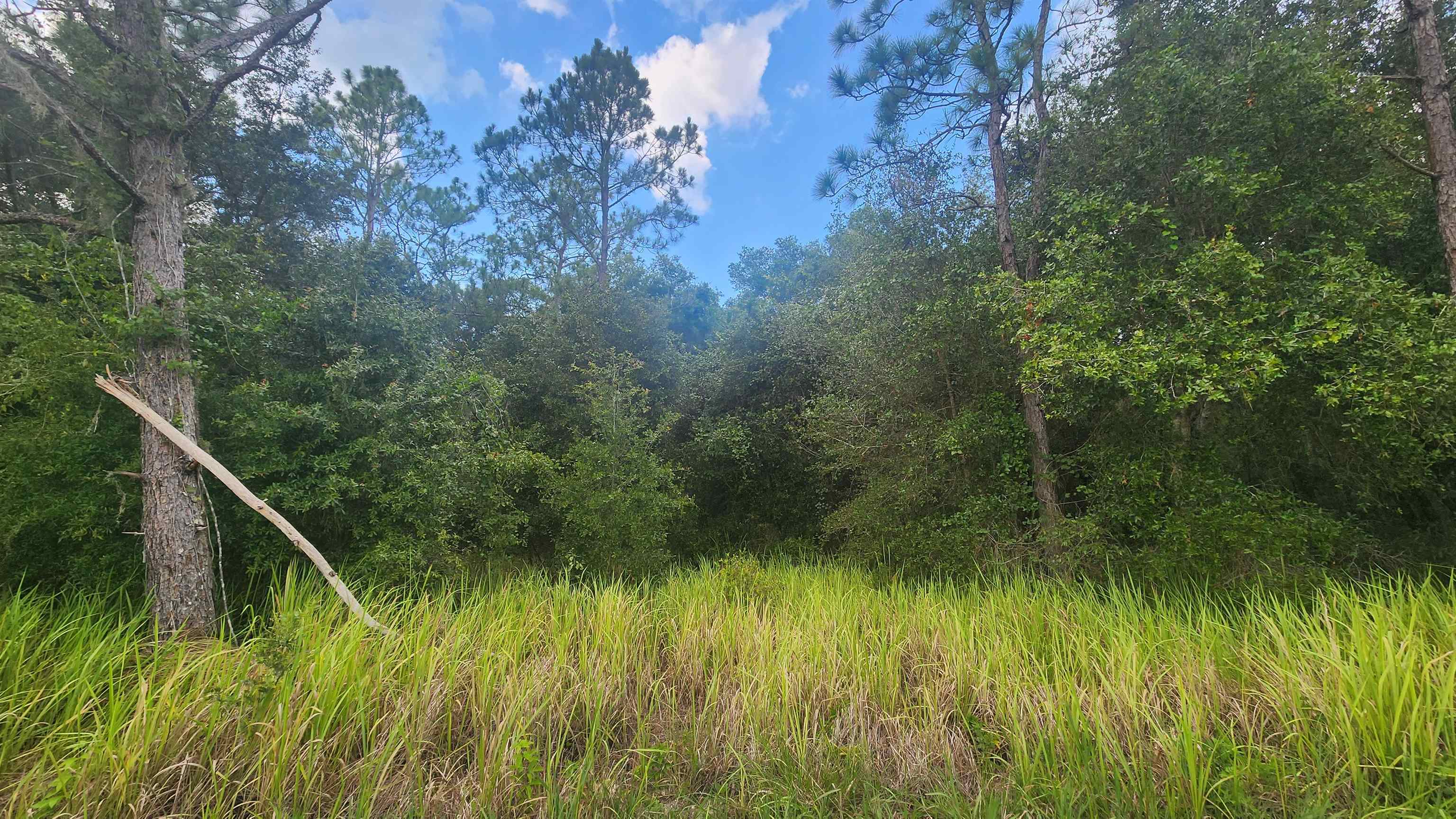Details for 129 Lake View Dr, Pomona Park, FL 32181