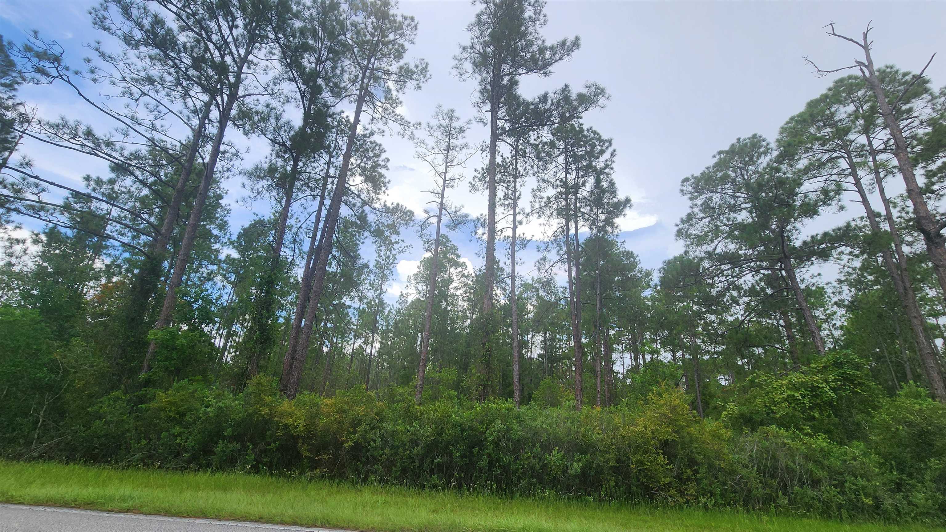 Details for 213 Georgetown Denver Rd, Georgetown, FL 32139