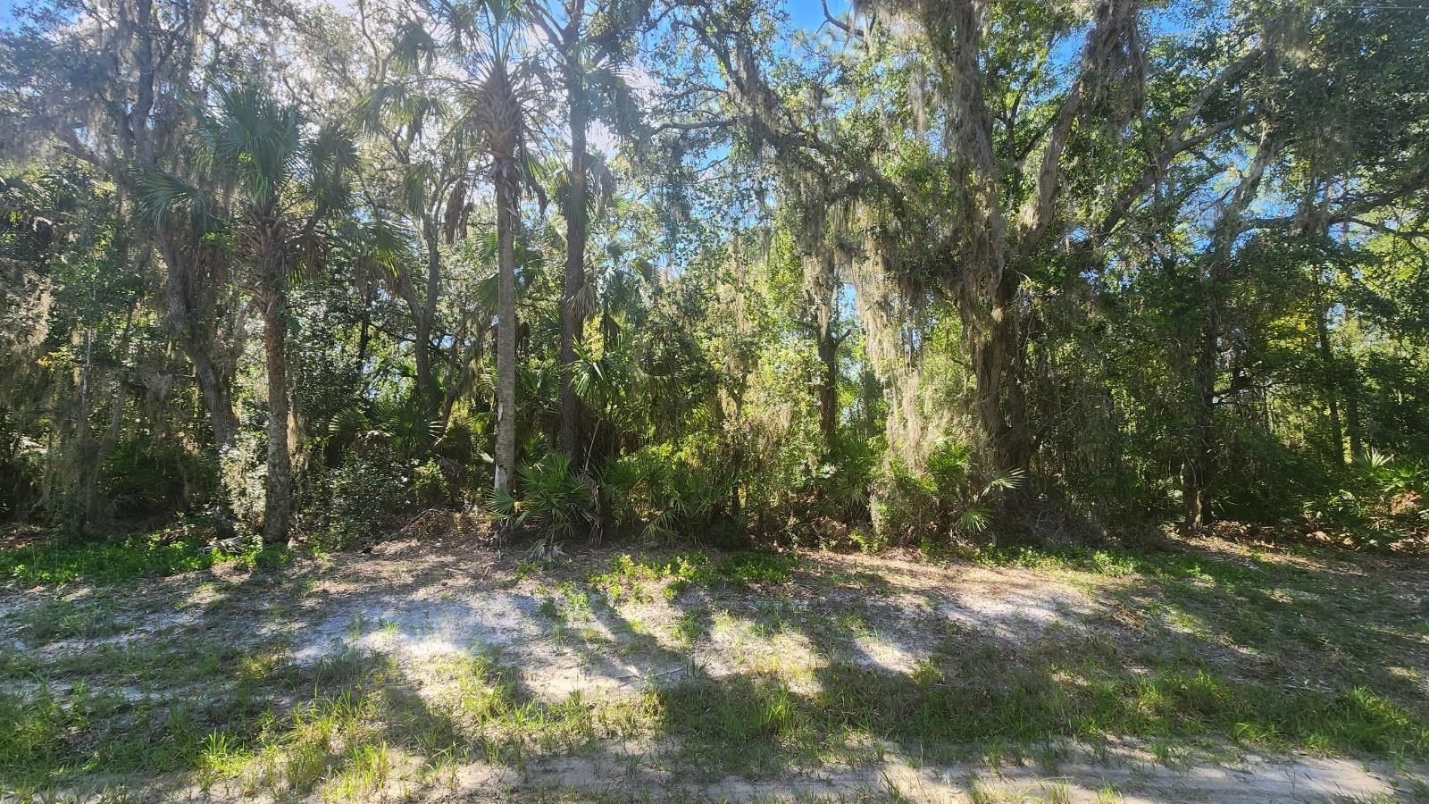 Details for 133 Lakeway Dr, Georgetown, FL 32139