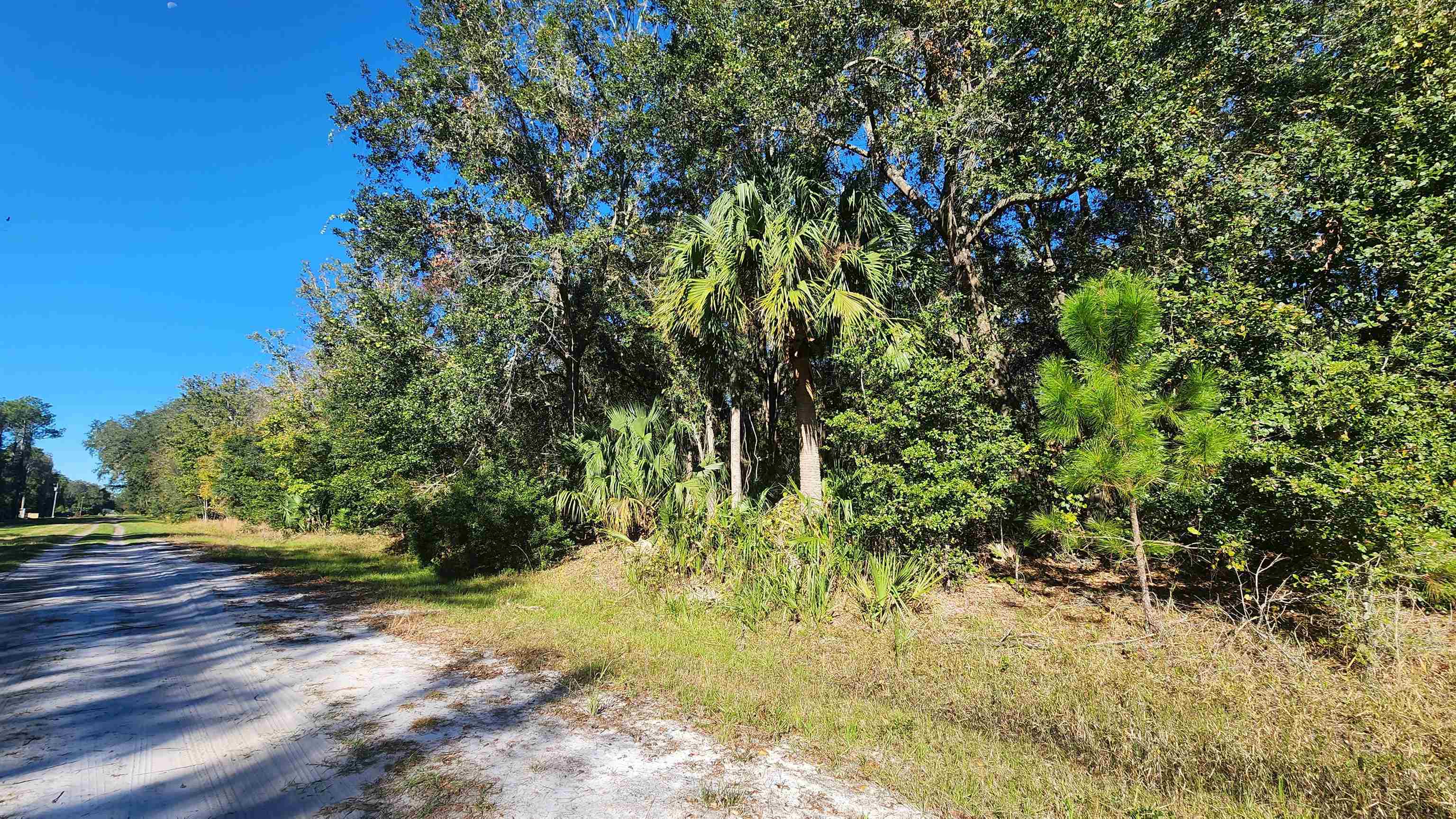 Details for 936 Paradise Blvd, Georgetown, FL 32139