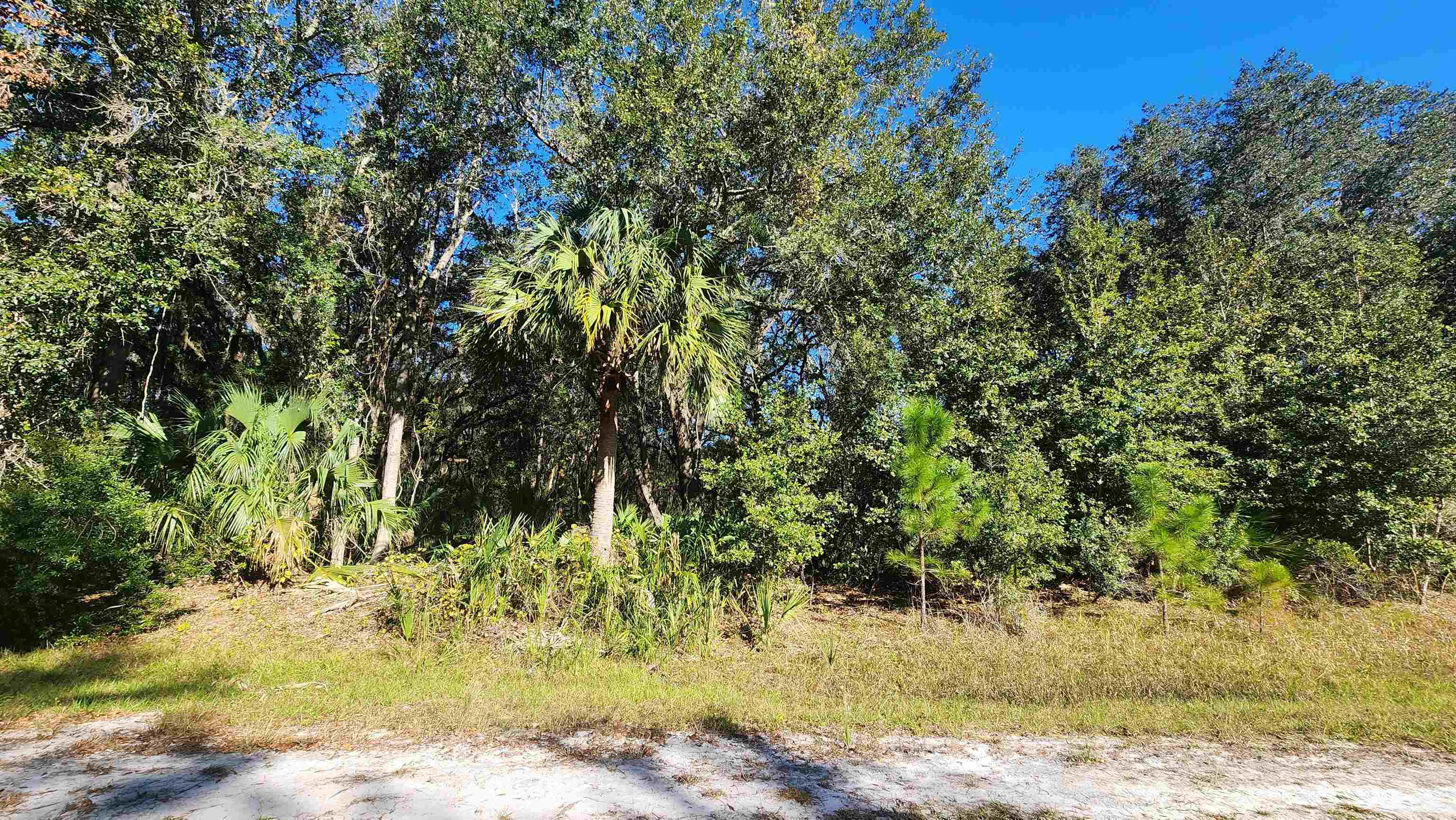 Image 2 of 7 For 936 Paradise Blvd