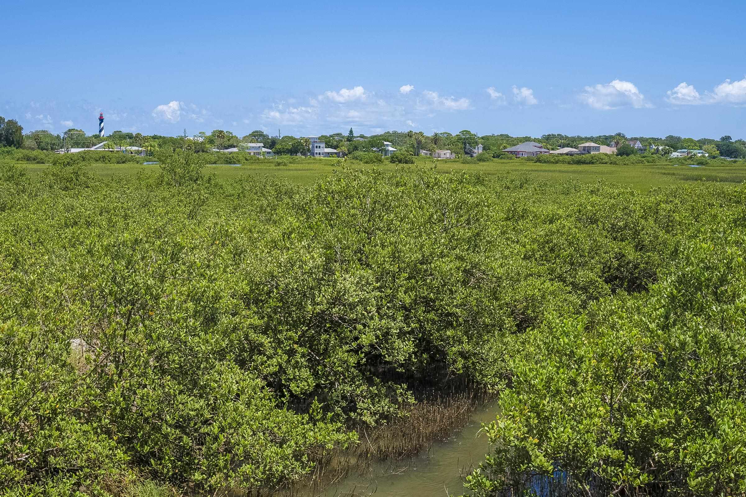 Image 42 of 53 For 113 Spoonbill Point Ct