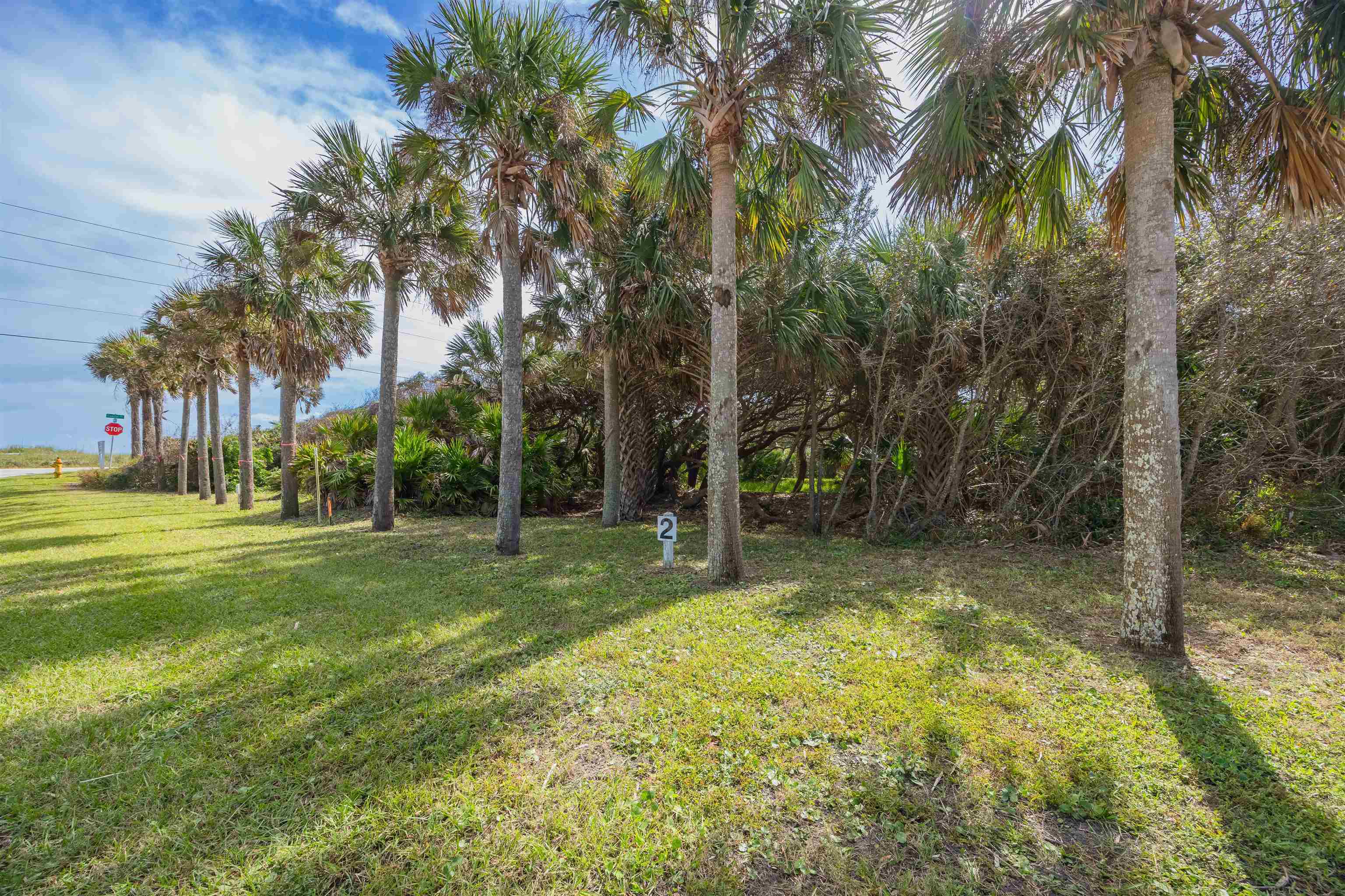 Image 10 of 41 For 109 San Pelayo Ct