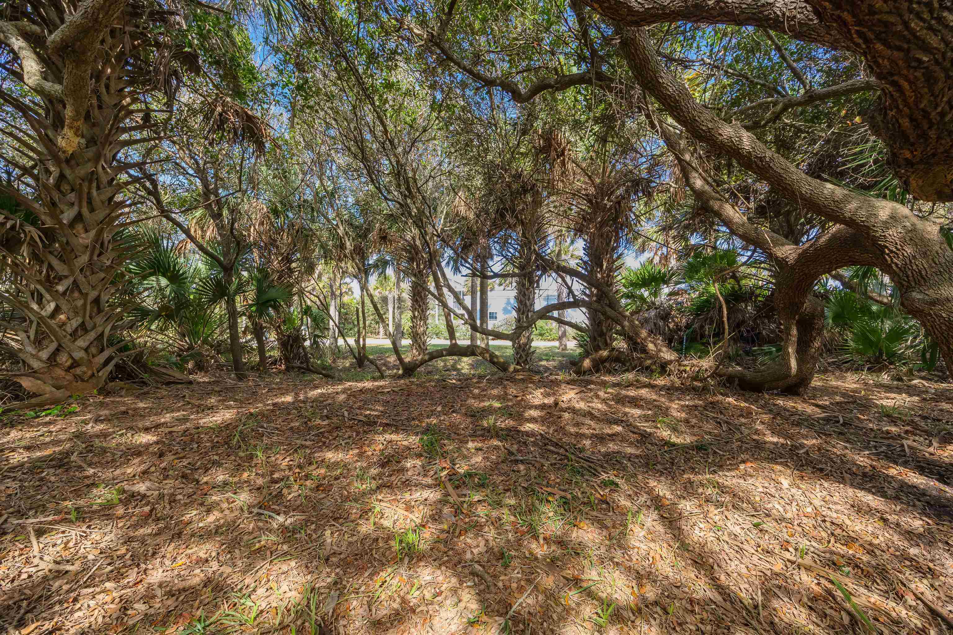Image 6 of 41 For 109 San Pelayo Ct