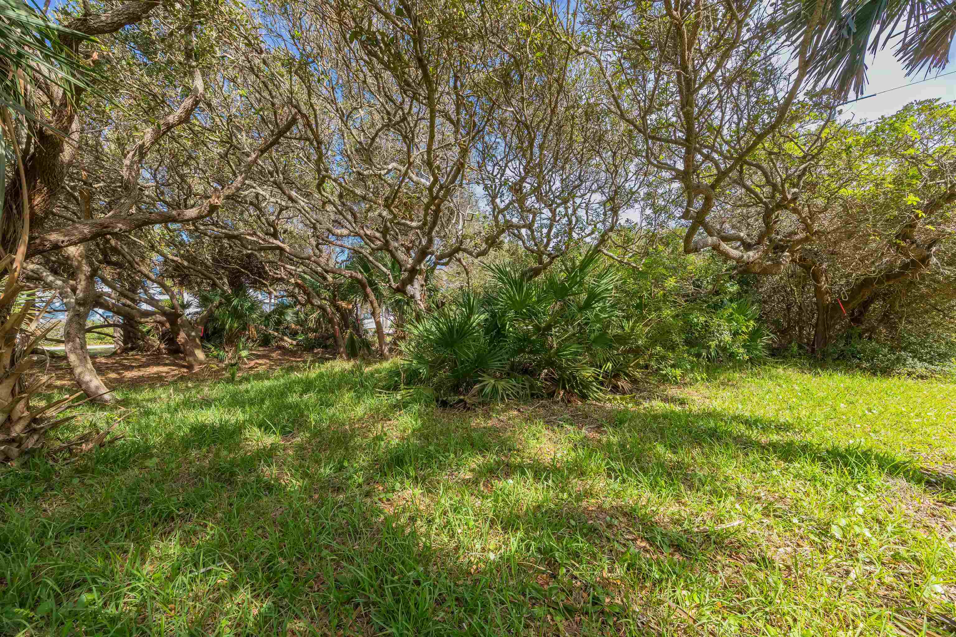 Image 7 of 41 For 109 San Pelayo Ct