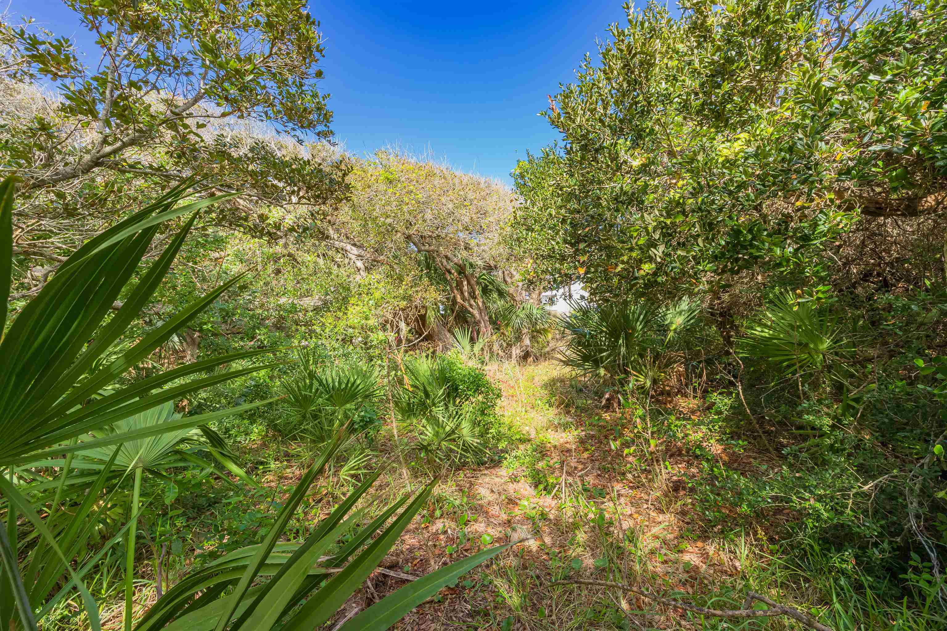 Image 8 of 41 For 109 San Pelayo Ct