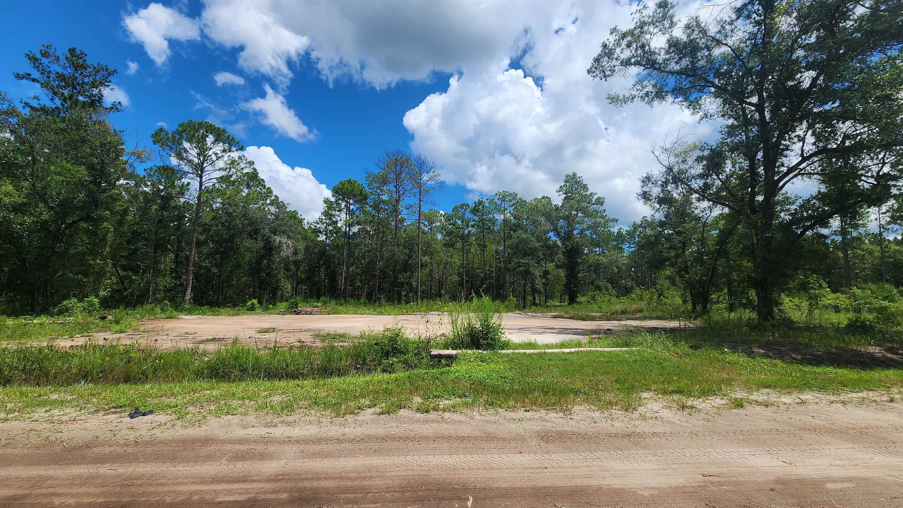 Listing Details for 10660 Flikkema Ave, Hastings, FL 32145