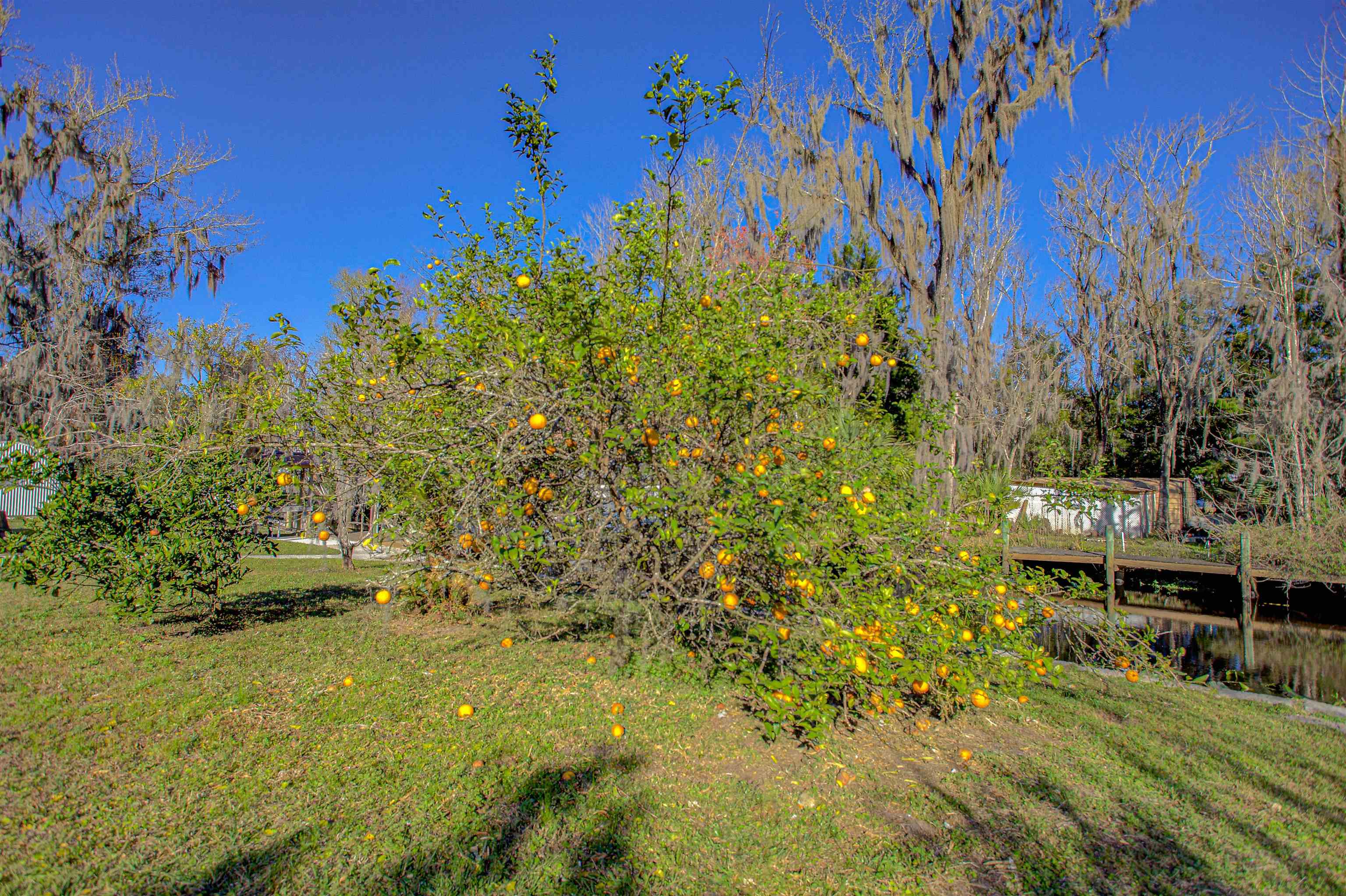 Image 41 of 47 For 151 Park Dr  