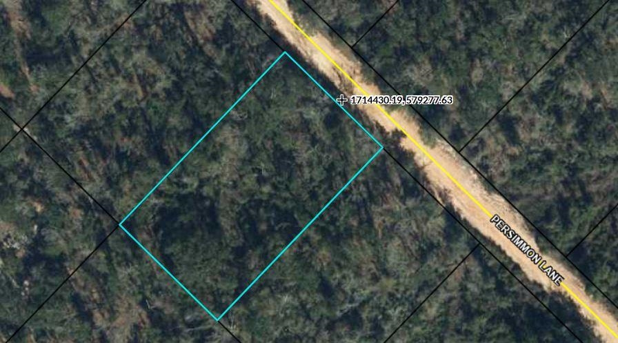 Details for Tbd Persimmon Lane, MARIANNA, FL 32246