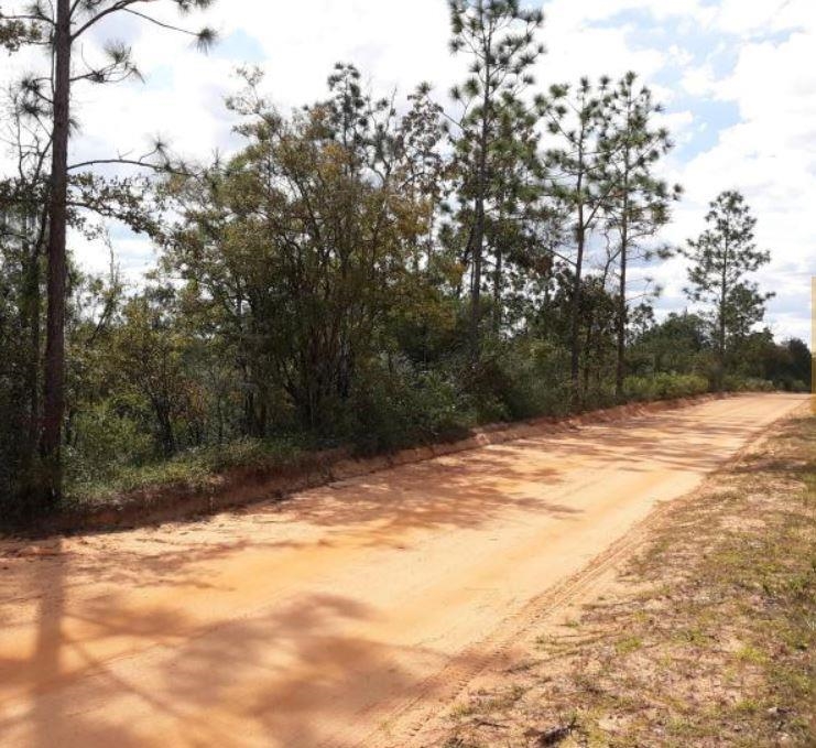 Image 3 of 6 For Tbd Persimmon Lane