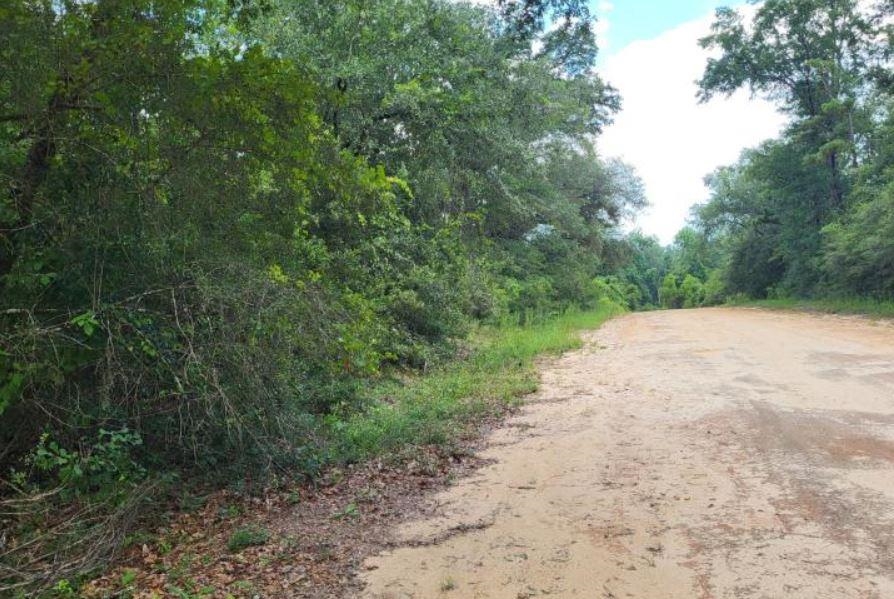 Image 4 of 6 For Tbd Persimmon Lane