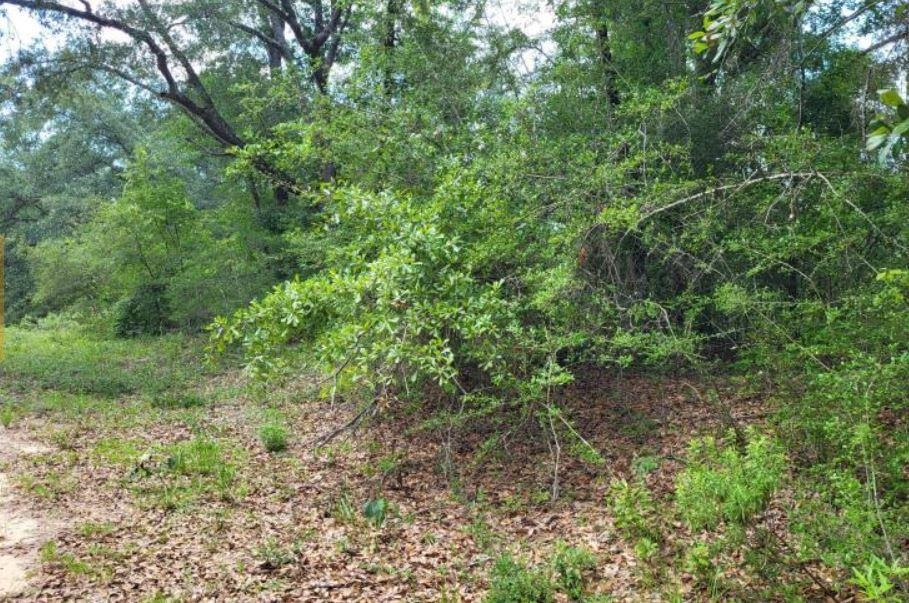 Image 5 of 6 For Tbd Persimmon Lane