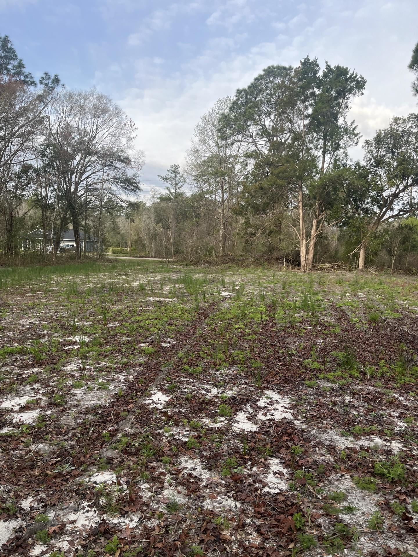 Details for 10400 Yeager Ave, Hastings, FL 32145