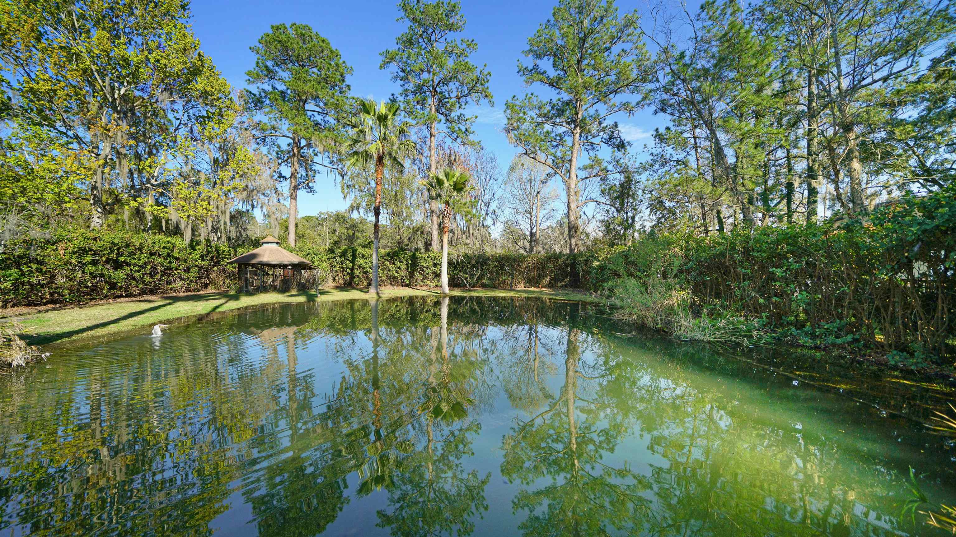Image 32 of 42 For 12351 Tracy Ann Rd