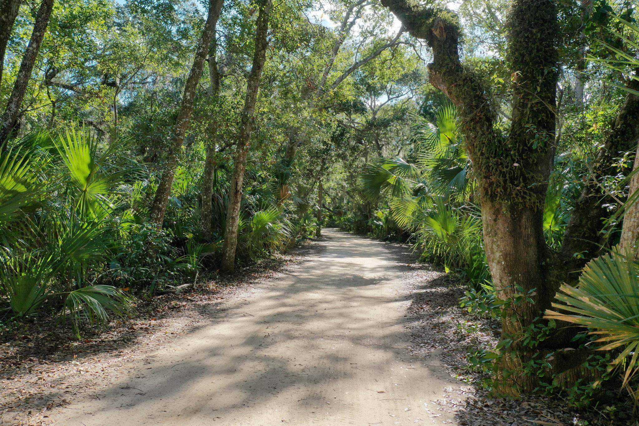 Image 91 of 95 For 56 Los Lagos Blvd