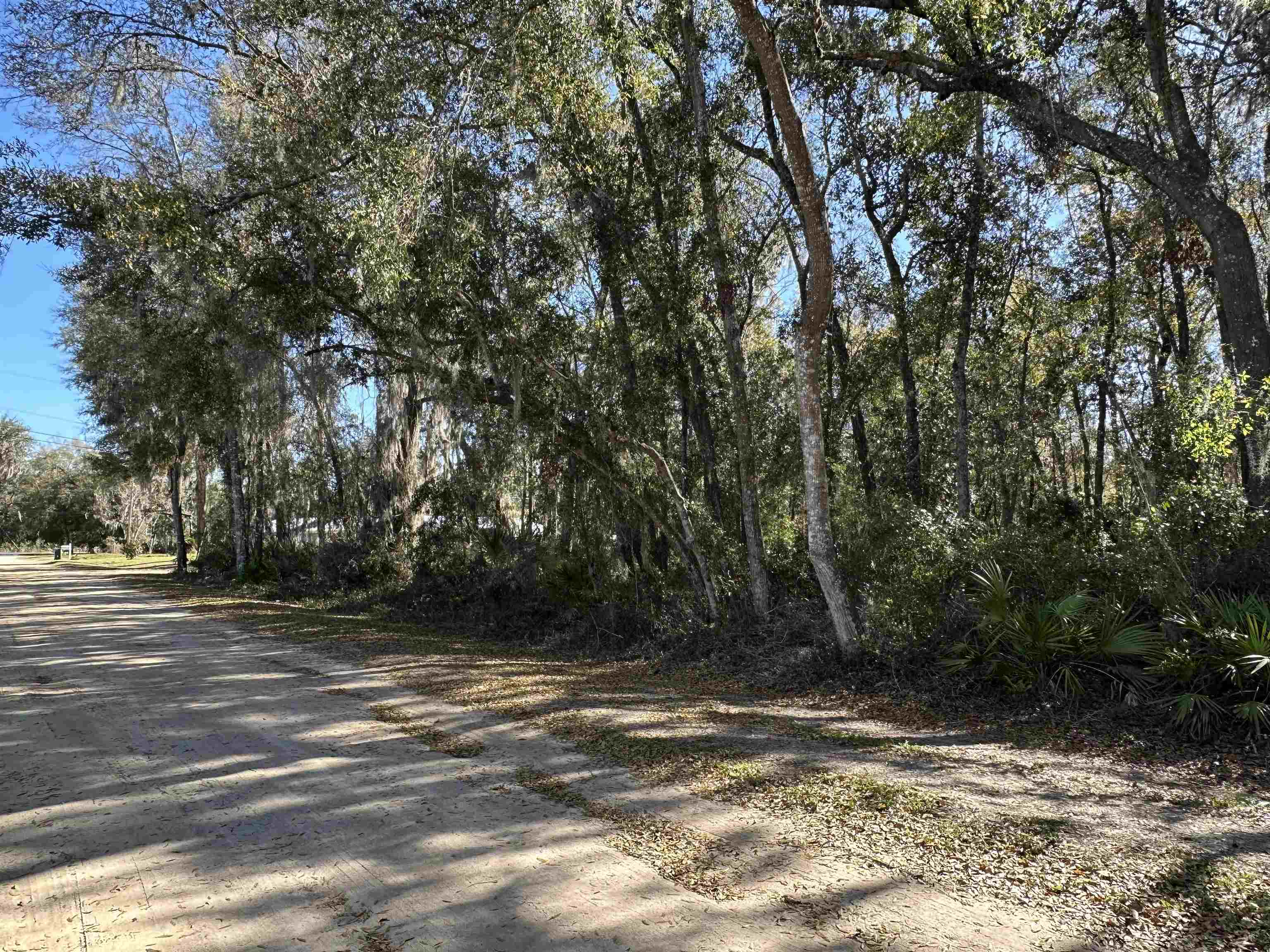 Image 9 of 16 For 113 Indian Mound Rd