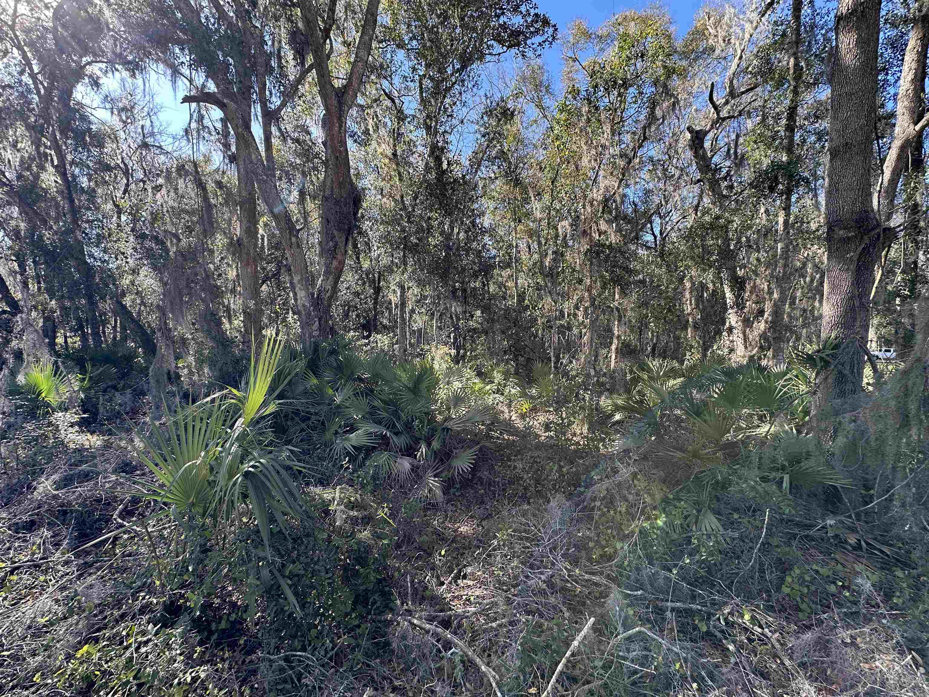 Image 10 of 18 For 0 Indian Mound Rd