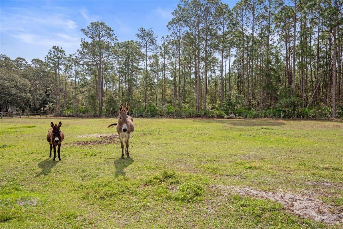Image 73 of 90 For 4575 Carter Rd