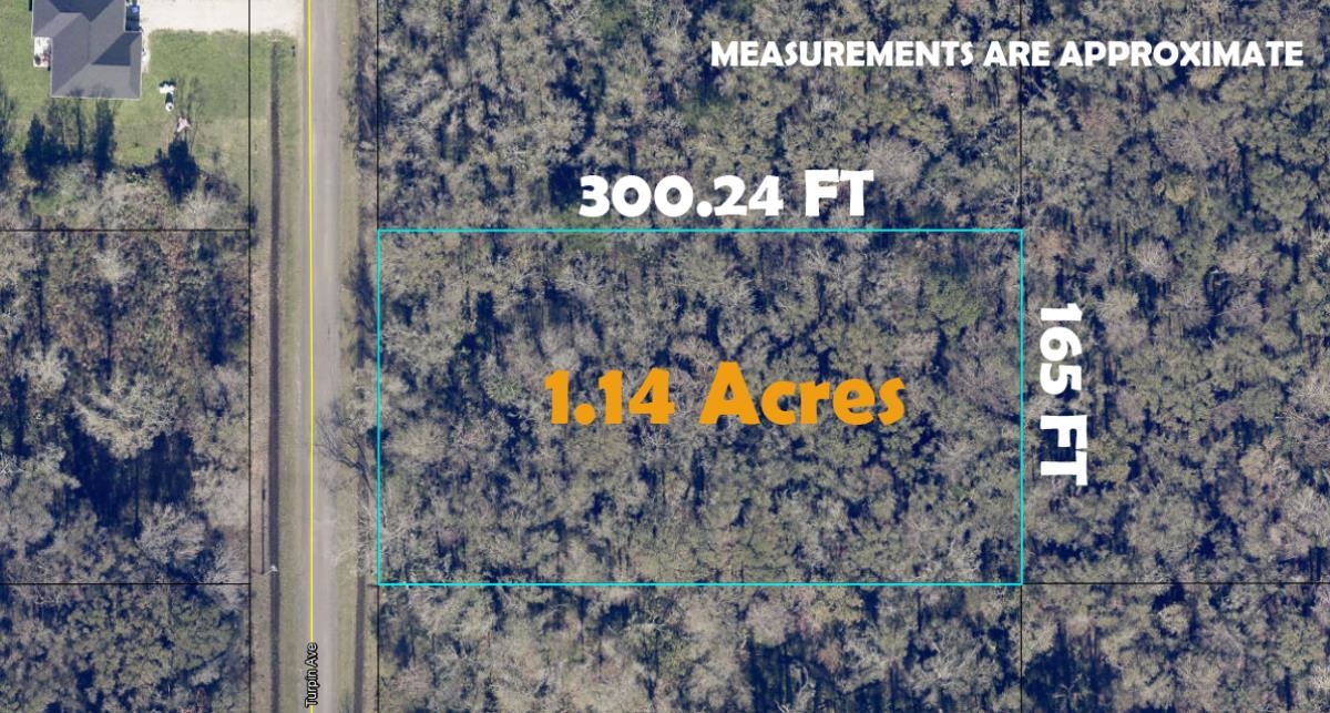 Details for 10690 Turpin Ave, Hastings, FL 32145