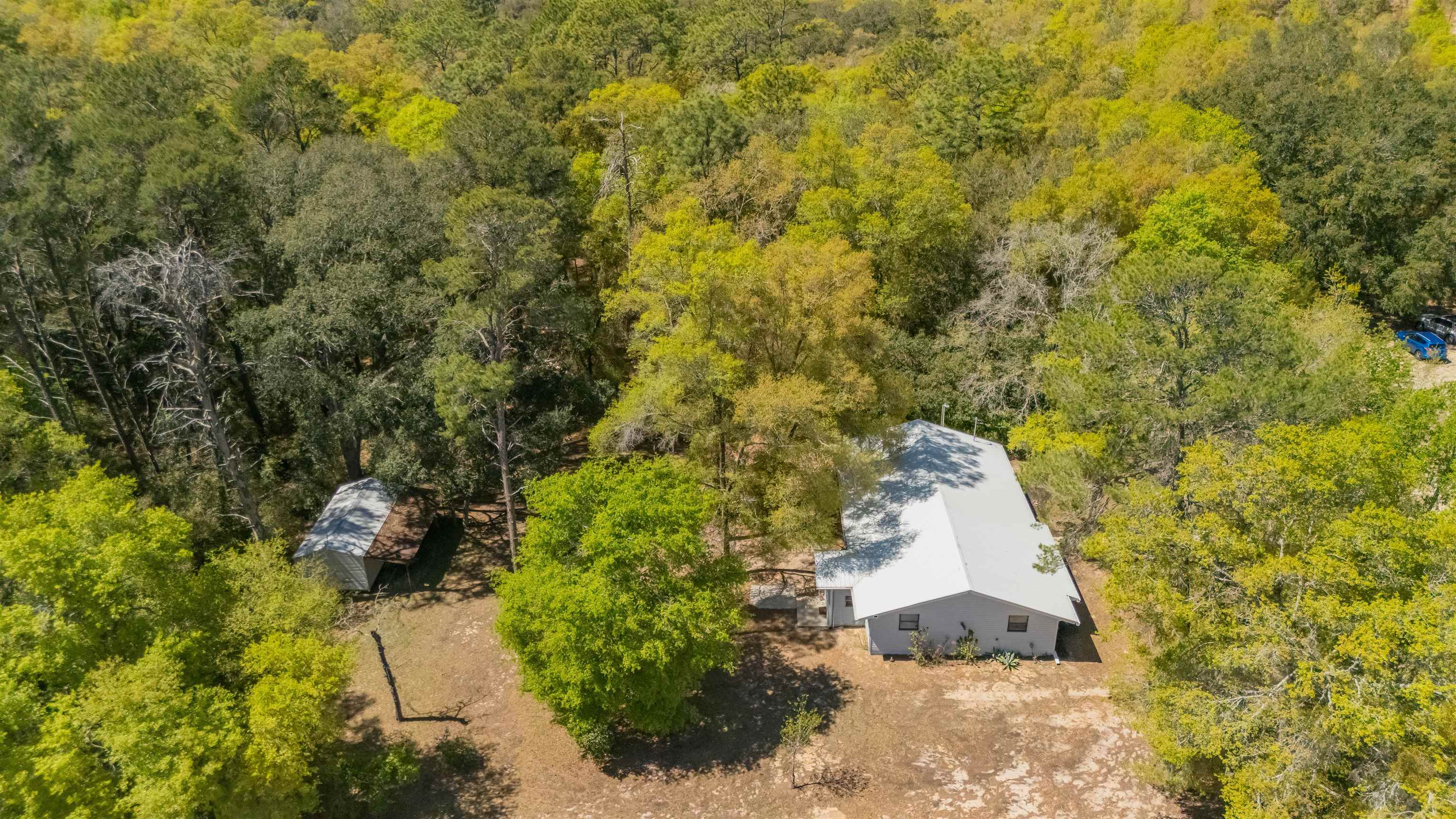 Image 6 of 57 For 105 Orange St