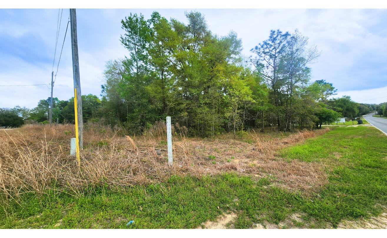 Details for Bangkok Street, Interlachen, FL 32148
