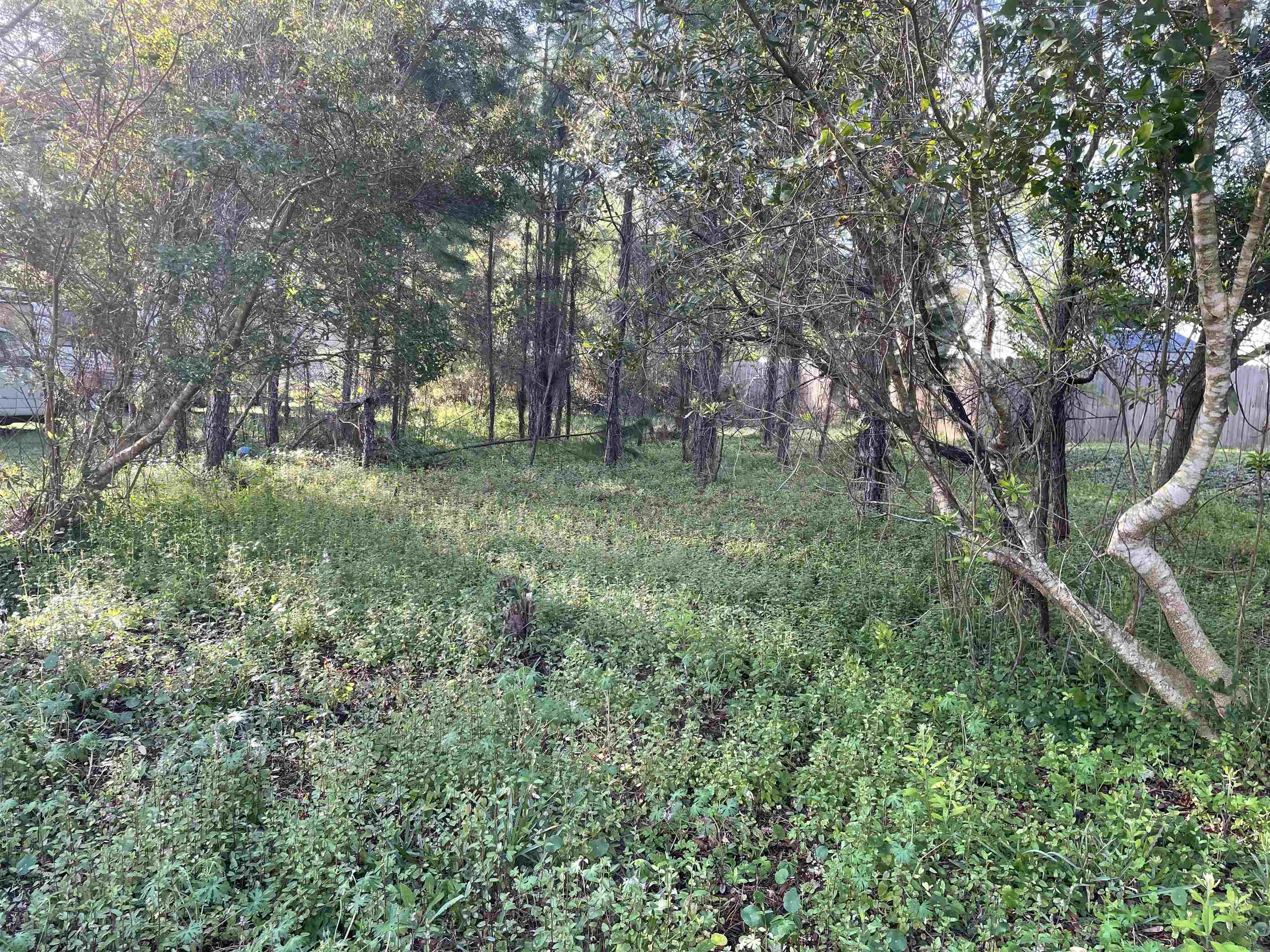 Details for 3381 3rd St  , Elkton, FL 32033